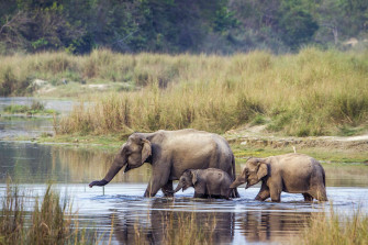 Bardia National Park Tour