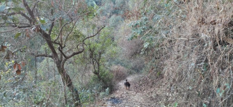 Champadevi Hike