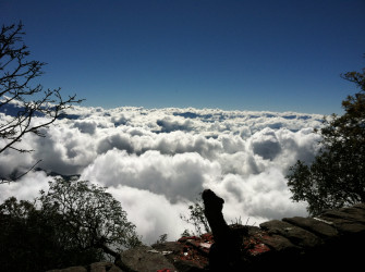 Pathibhara Trek